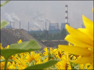 Экология 2010