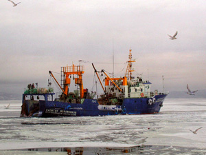 Институт региональных проблем оценил риски для рыболовной отрасли и прибрежных территорий