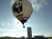WWF России в 2013 году